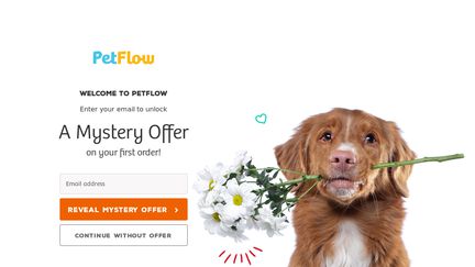 shipping for pet flow