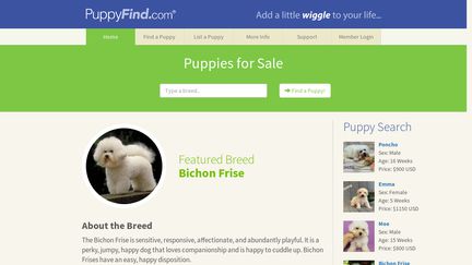 PuppyFind.com Reviews - 22 Reviews of Puppyfind.com | Sitejabber